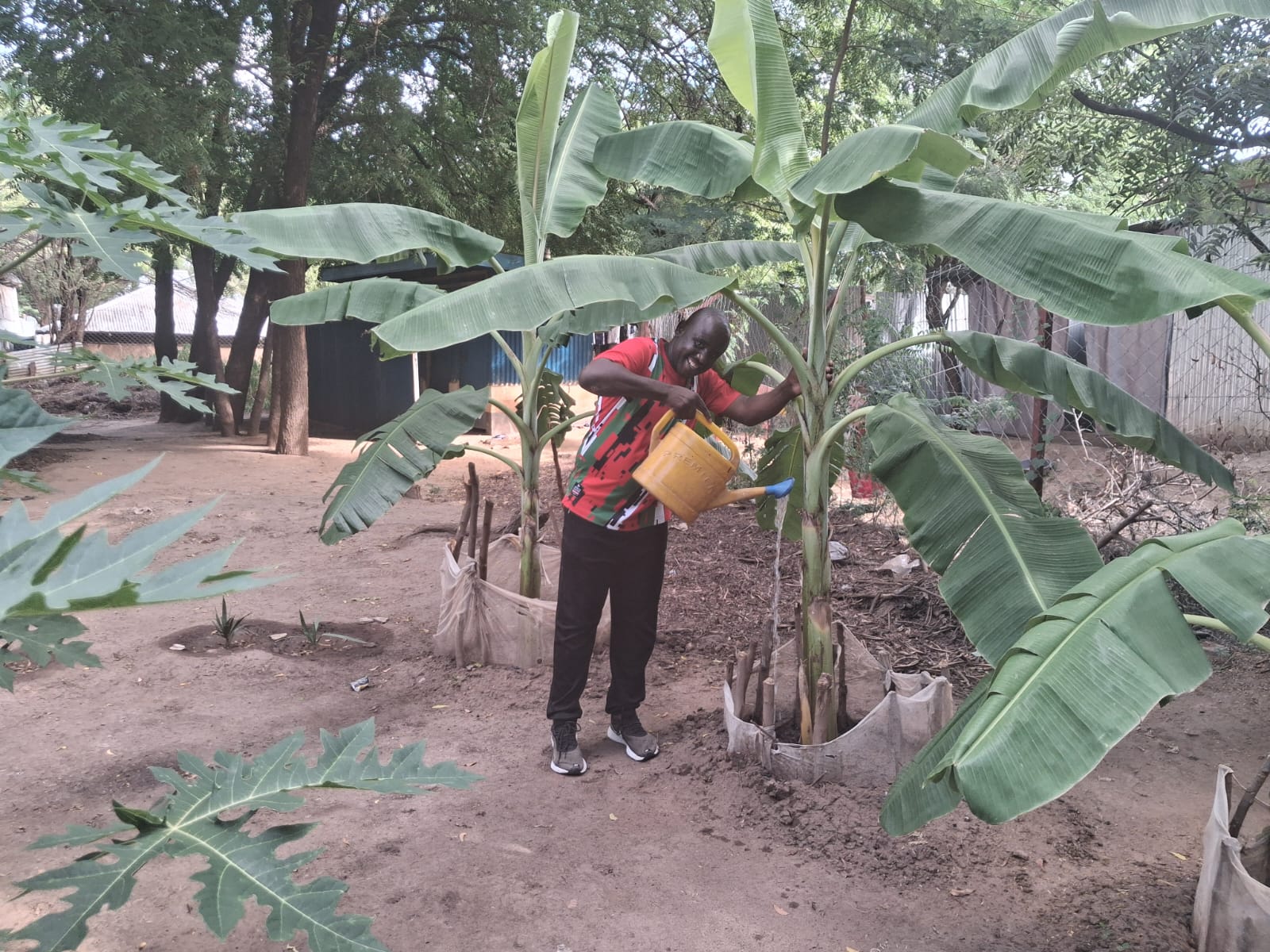 Livelihood Programs